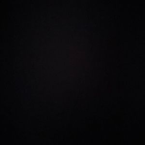 Meet your Posher, Chana leeba